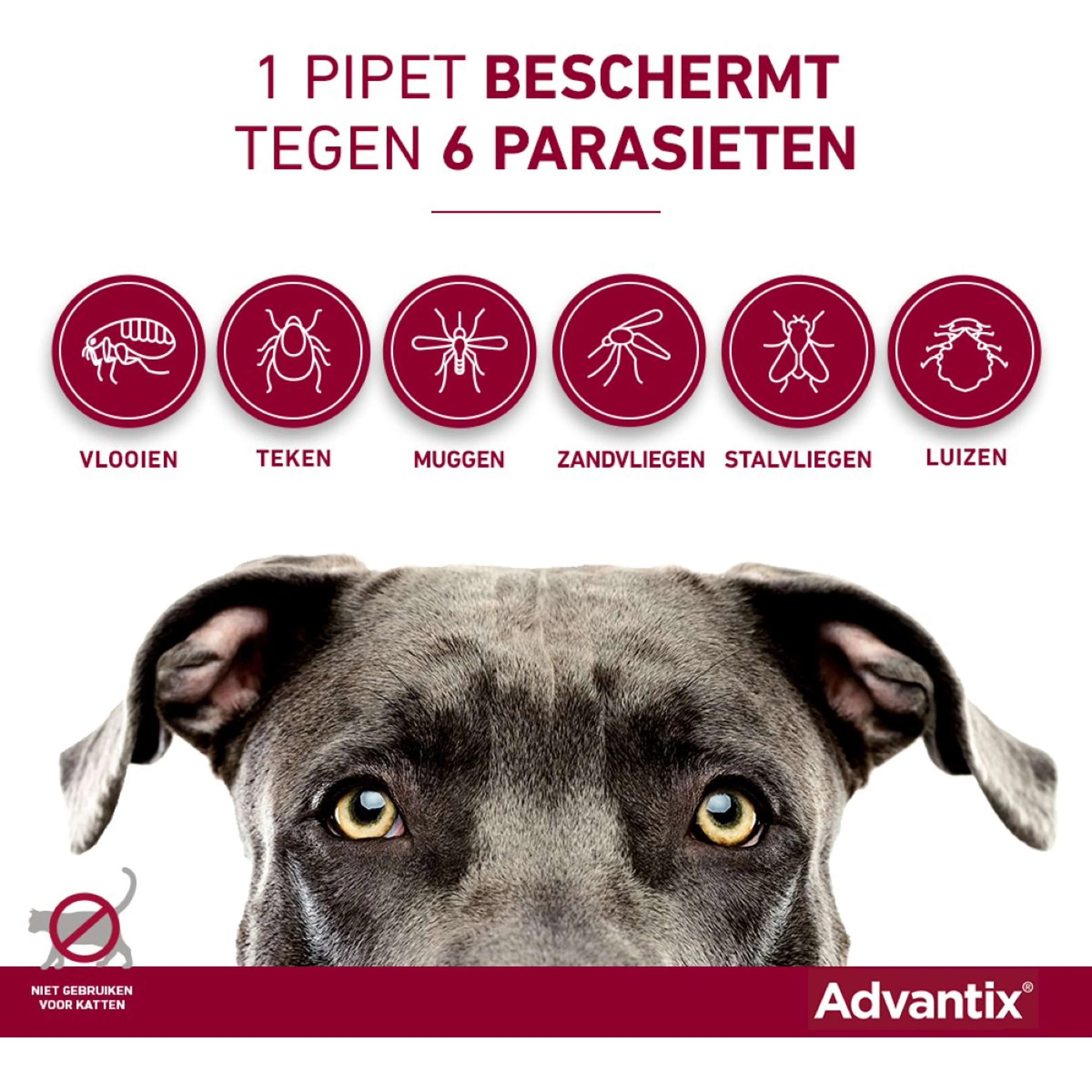 Productafbeelding 10