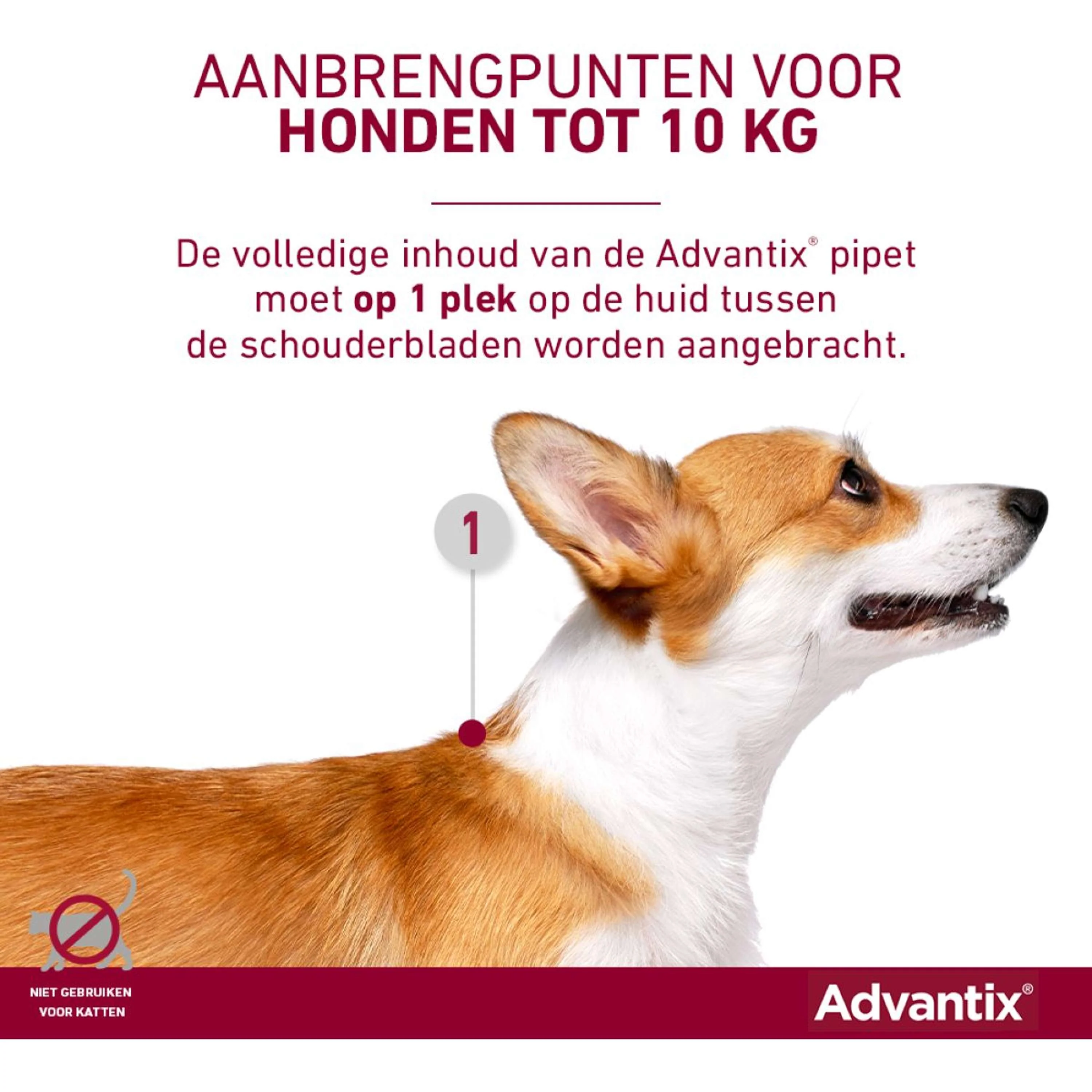 Productafbeelding 9