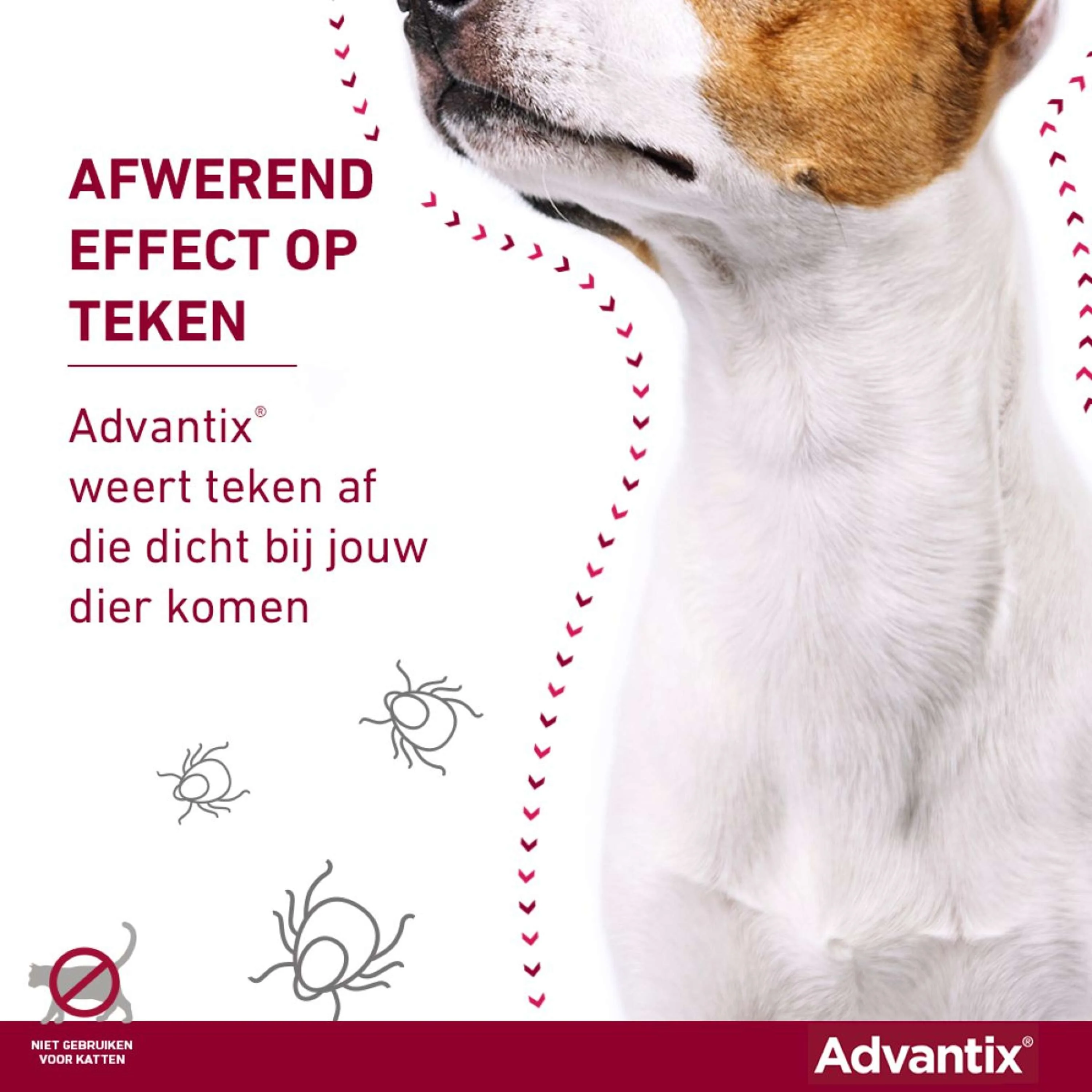 Productafbeelding 10