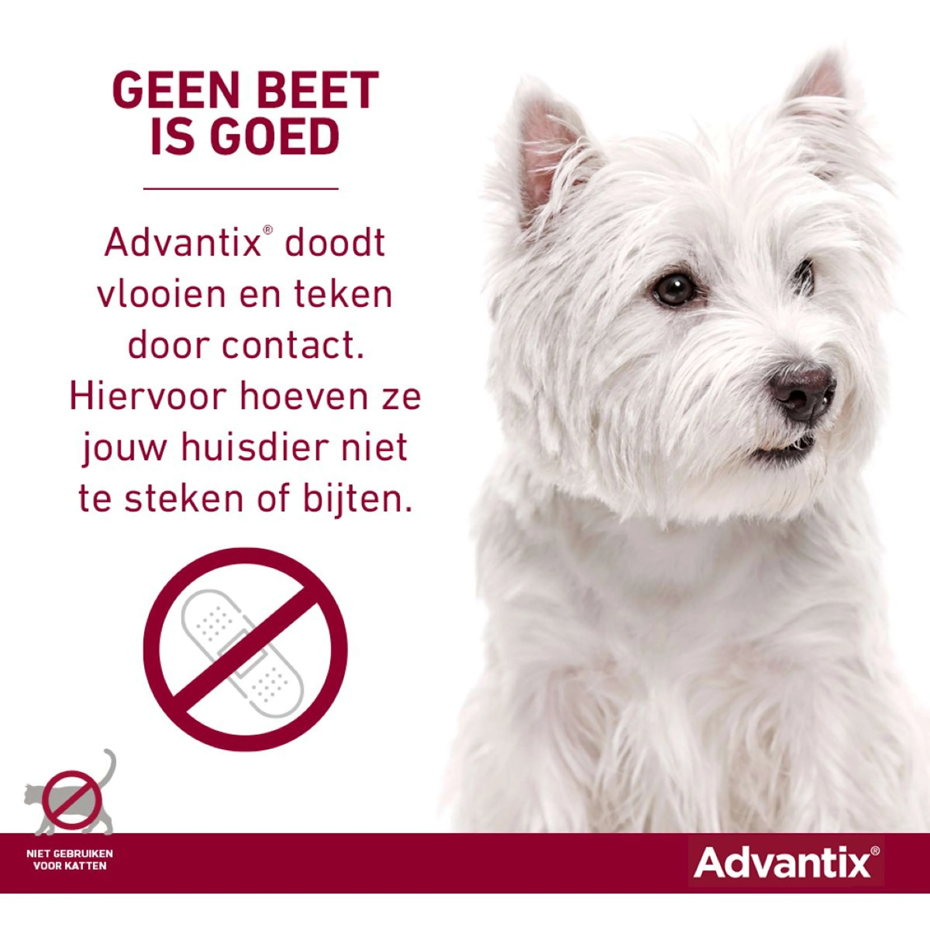 Productafbeelding 6