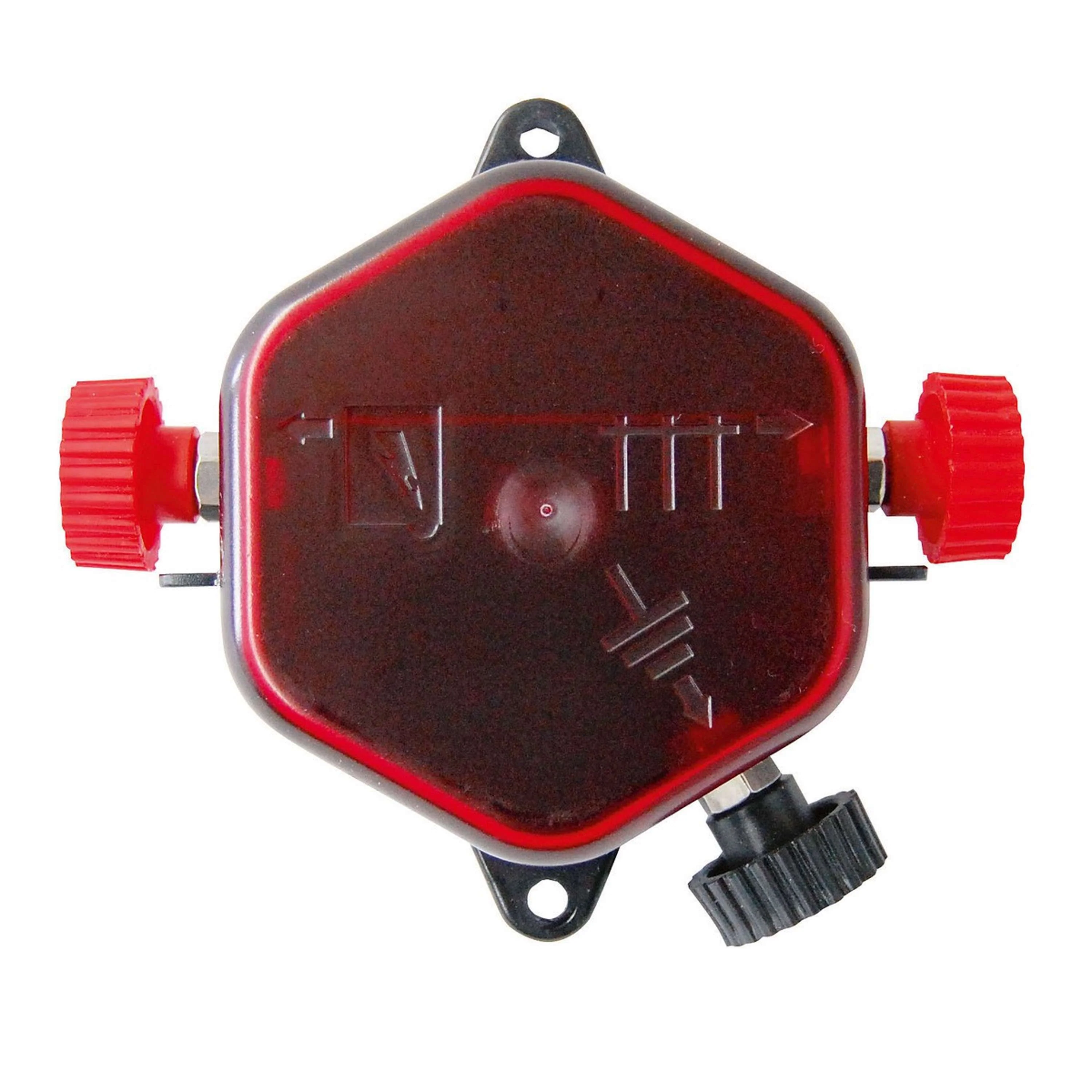 Miniatuur 1