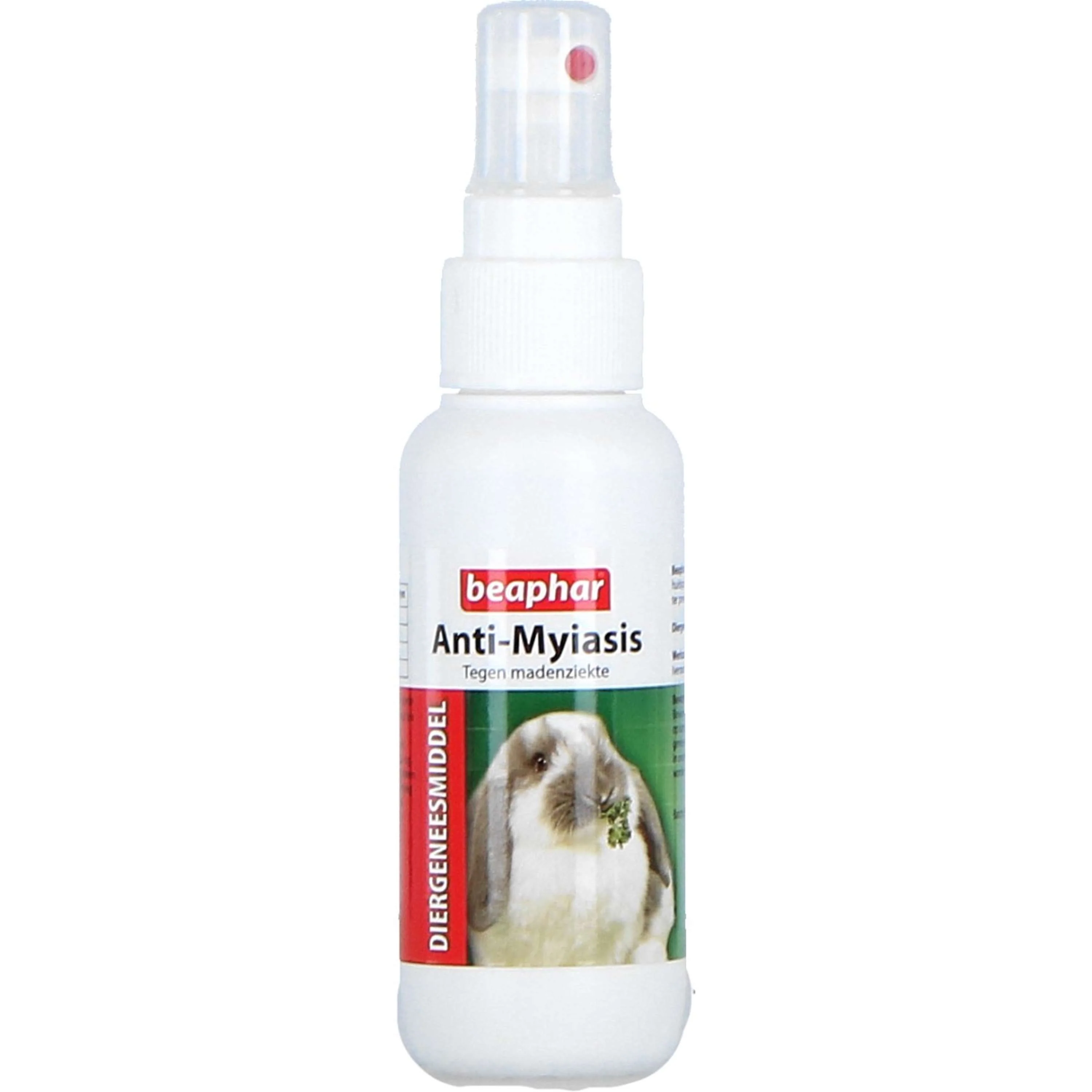 Miniatuur 2