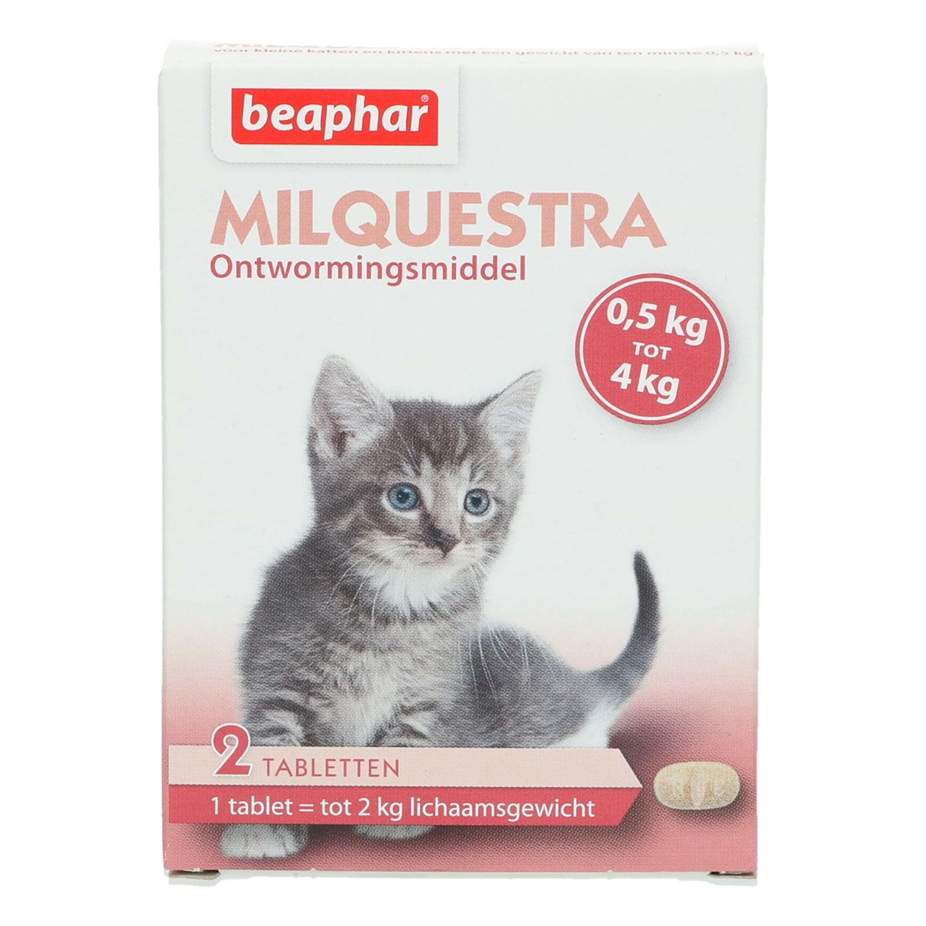 Miniatuur 1