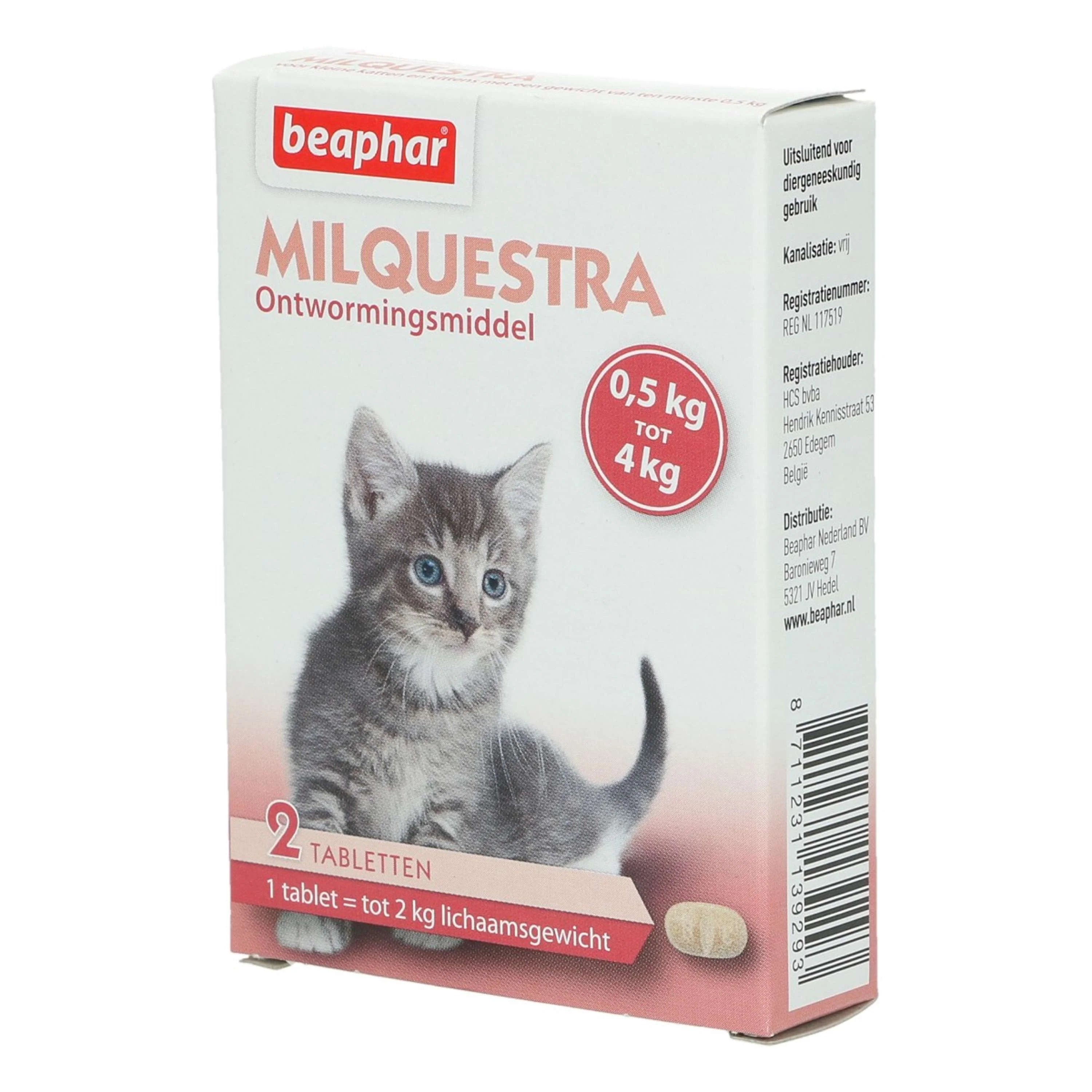Miniatuur 2
