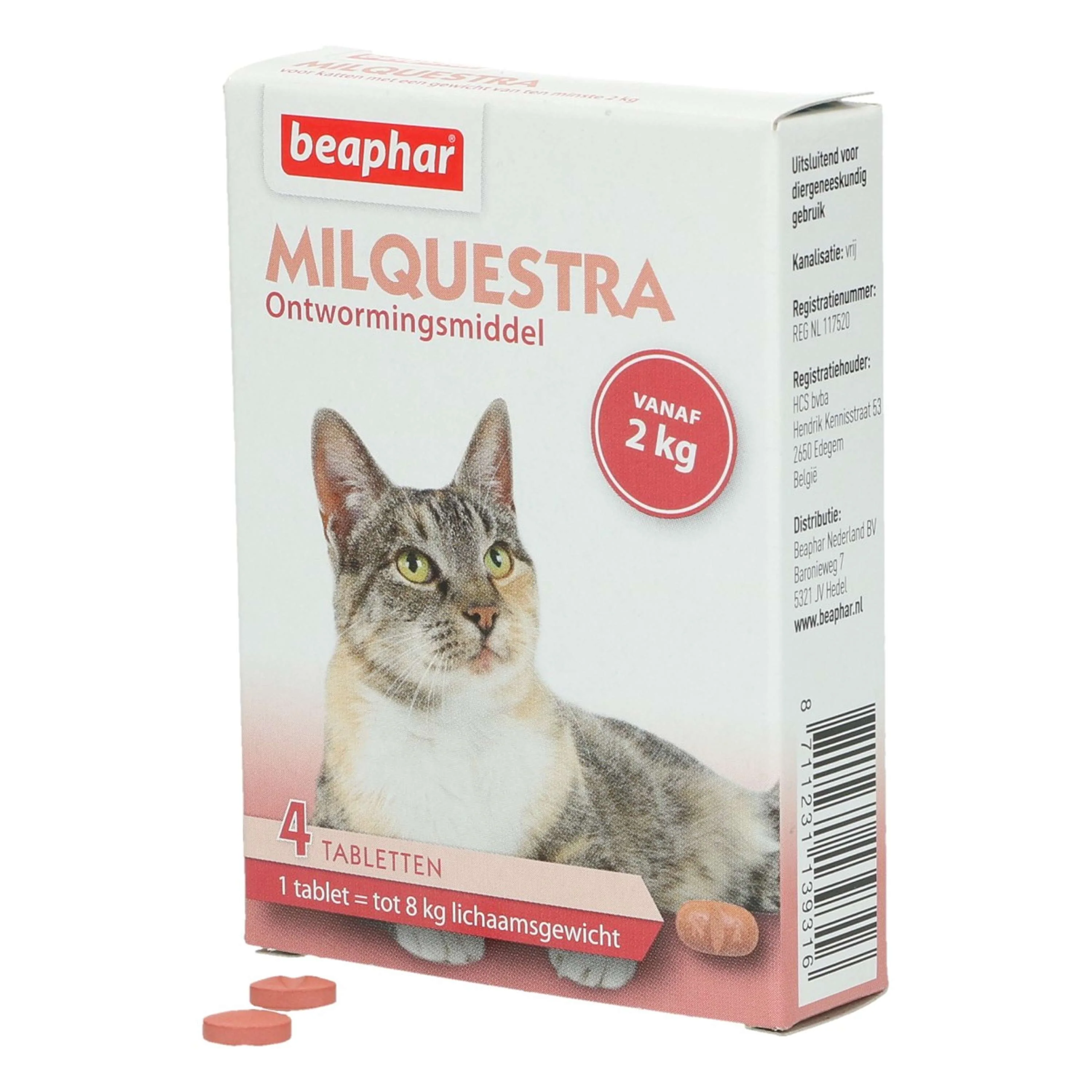 Miniatuur 2