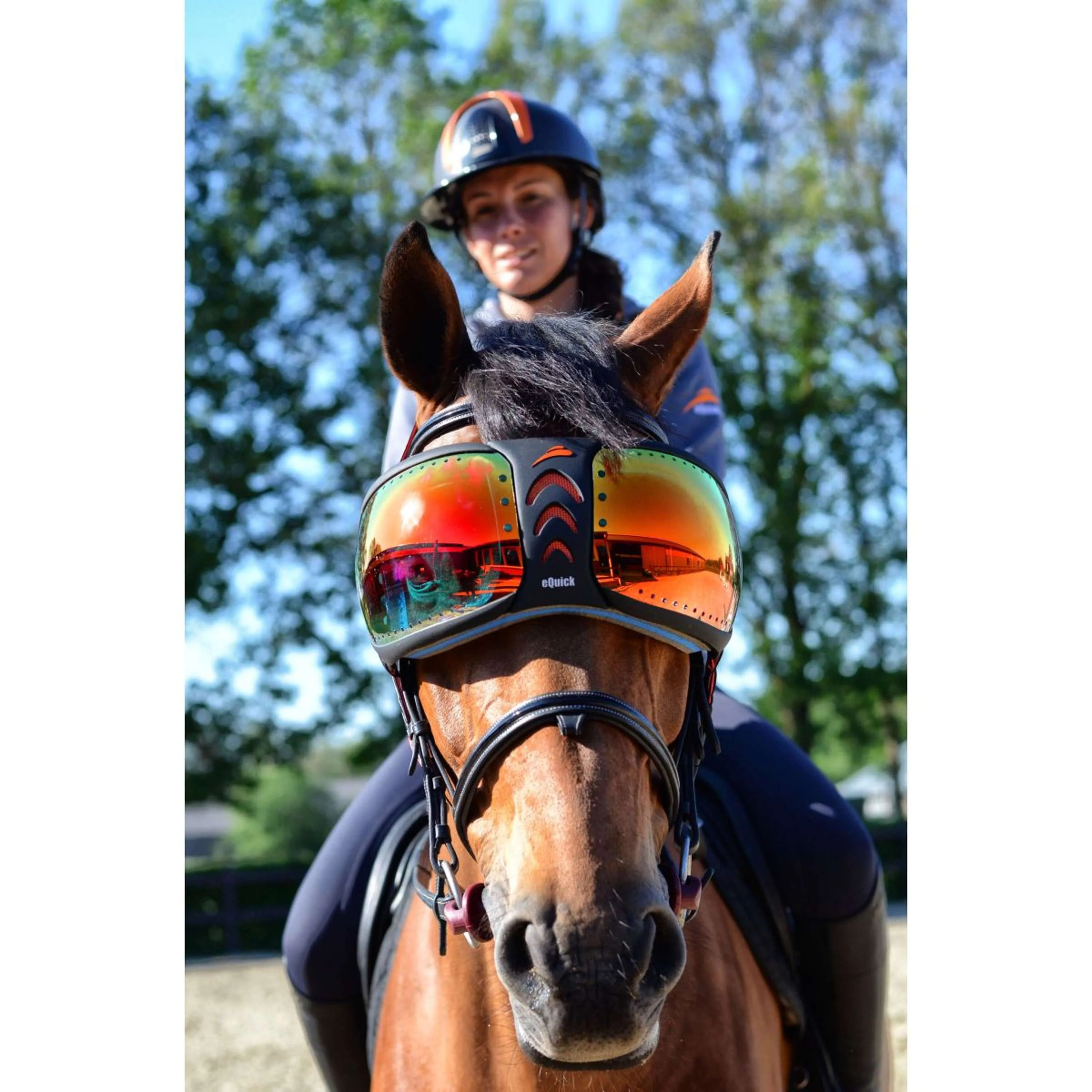 Productafbeelding 1
