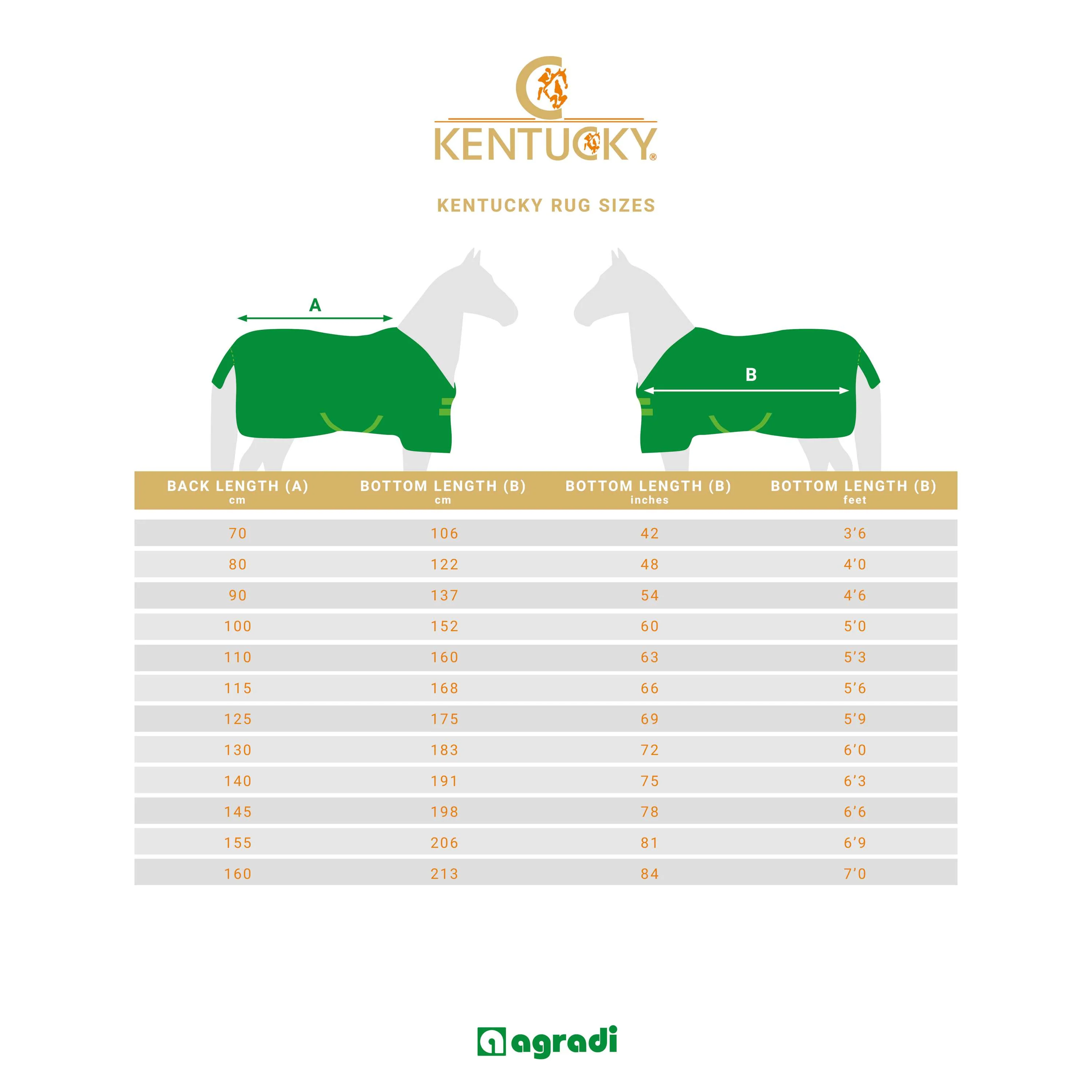 Productafbeelding 11