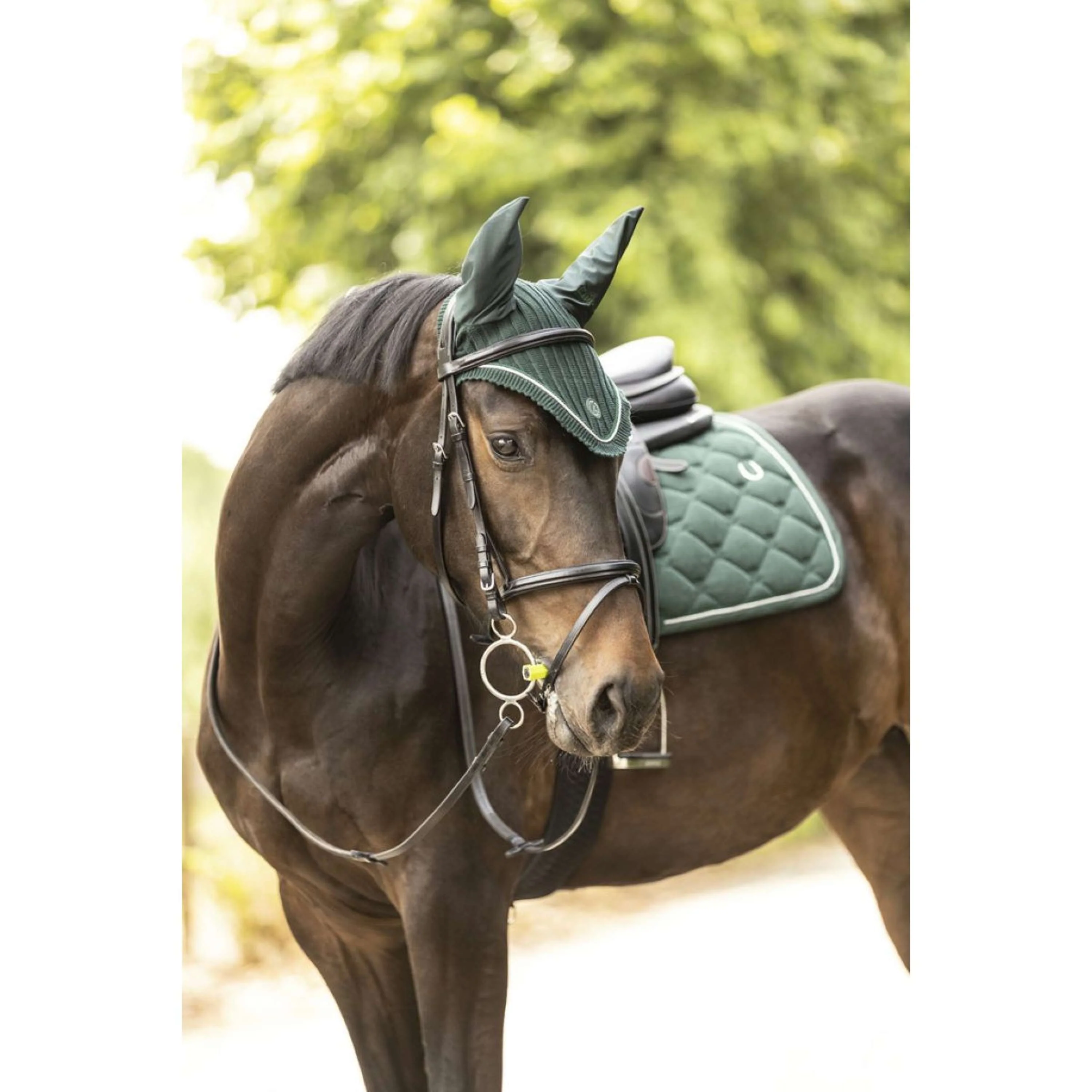 Productafbeelding 4