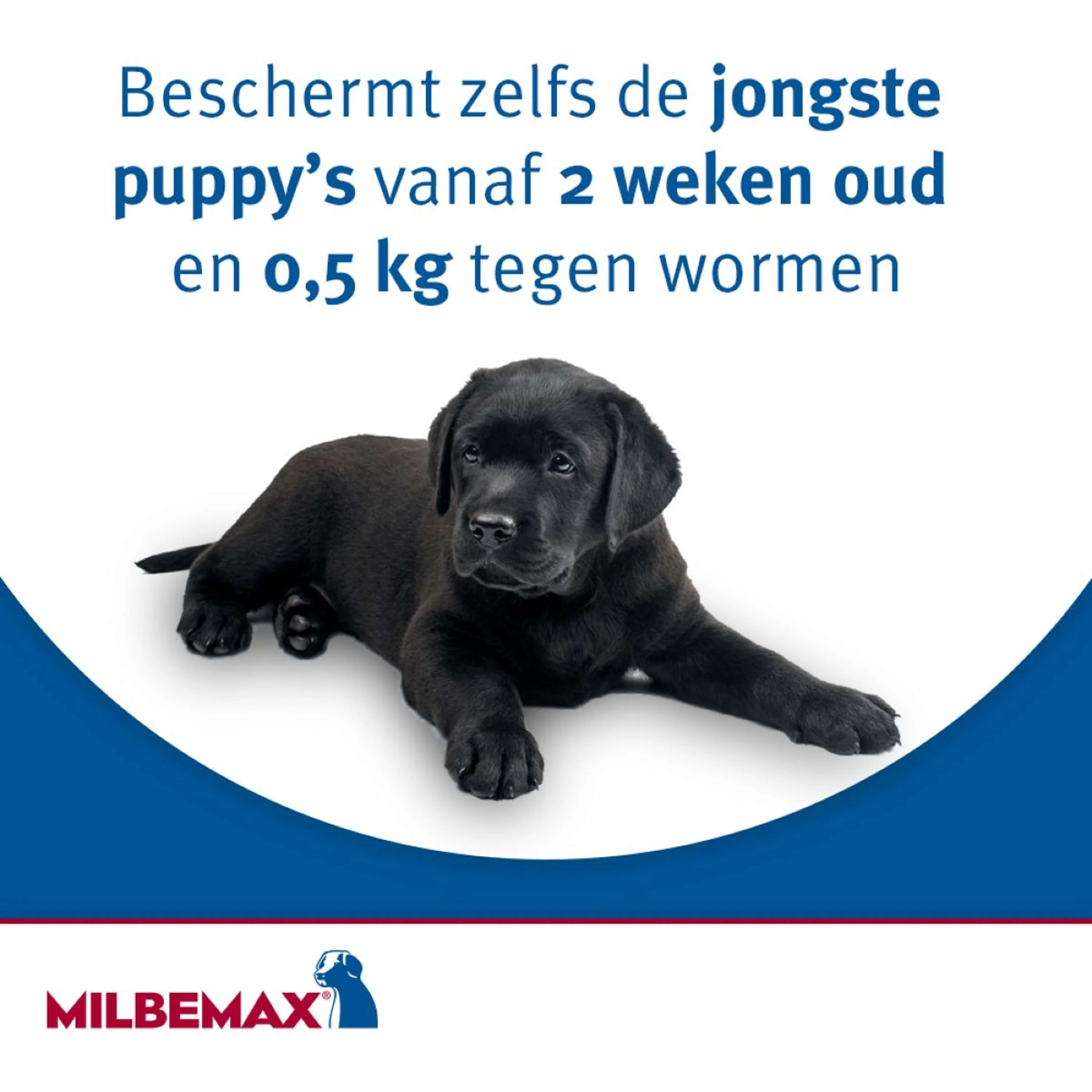 Productafbeelding 6