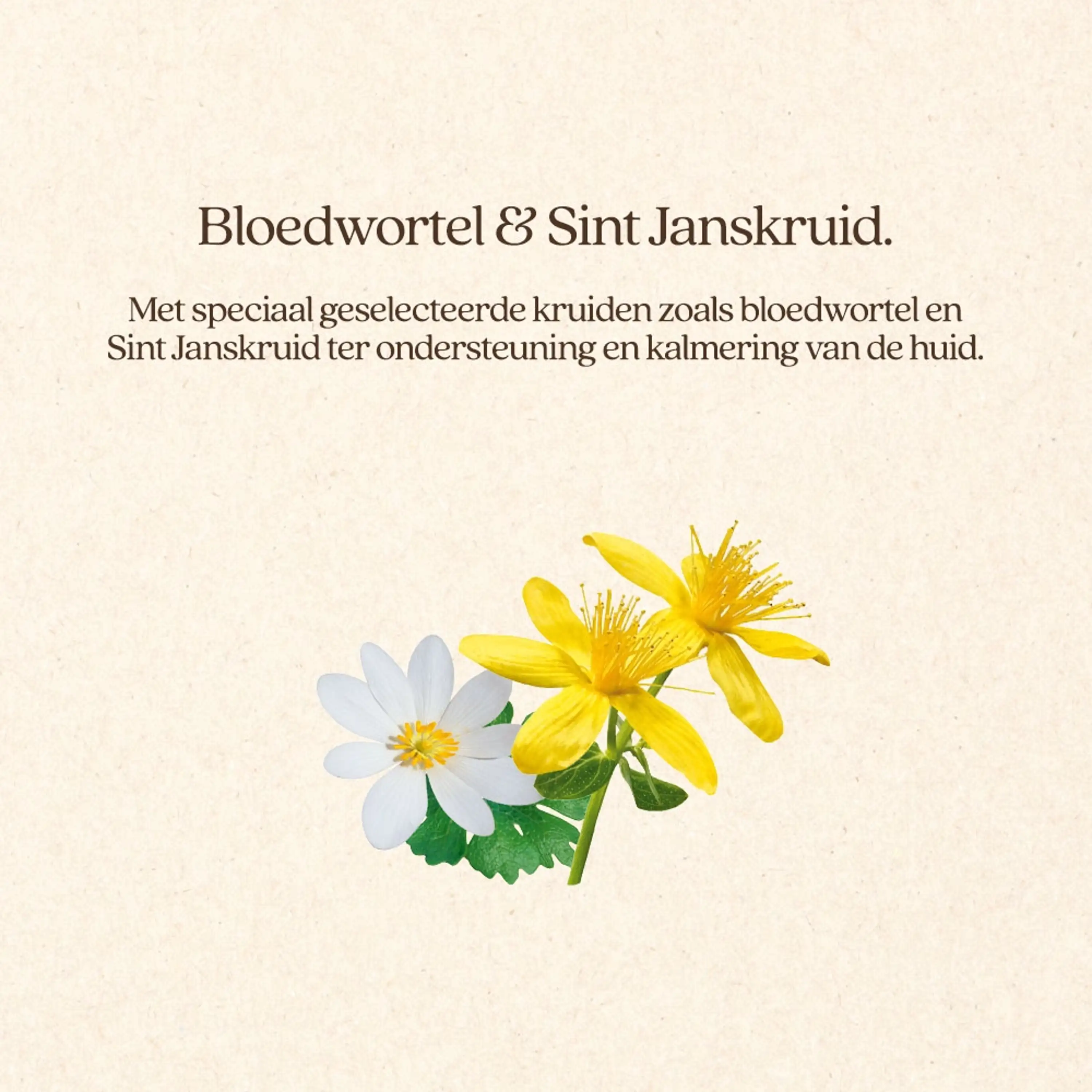 Productafbeelding 5