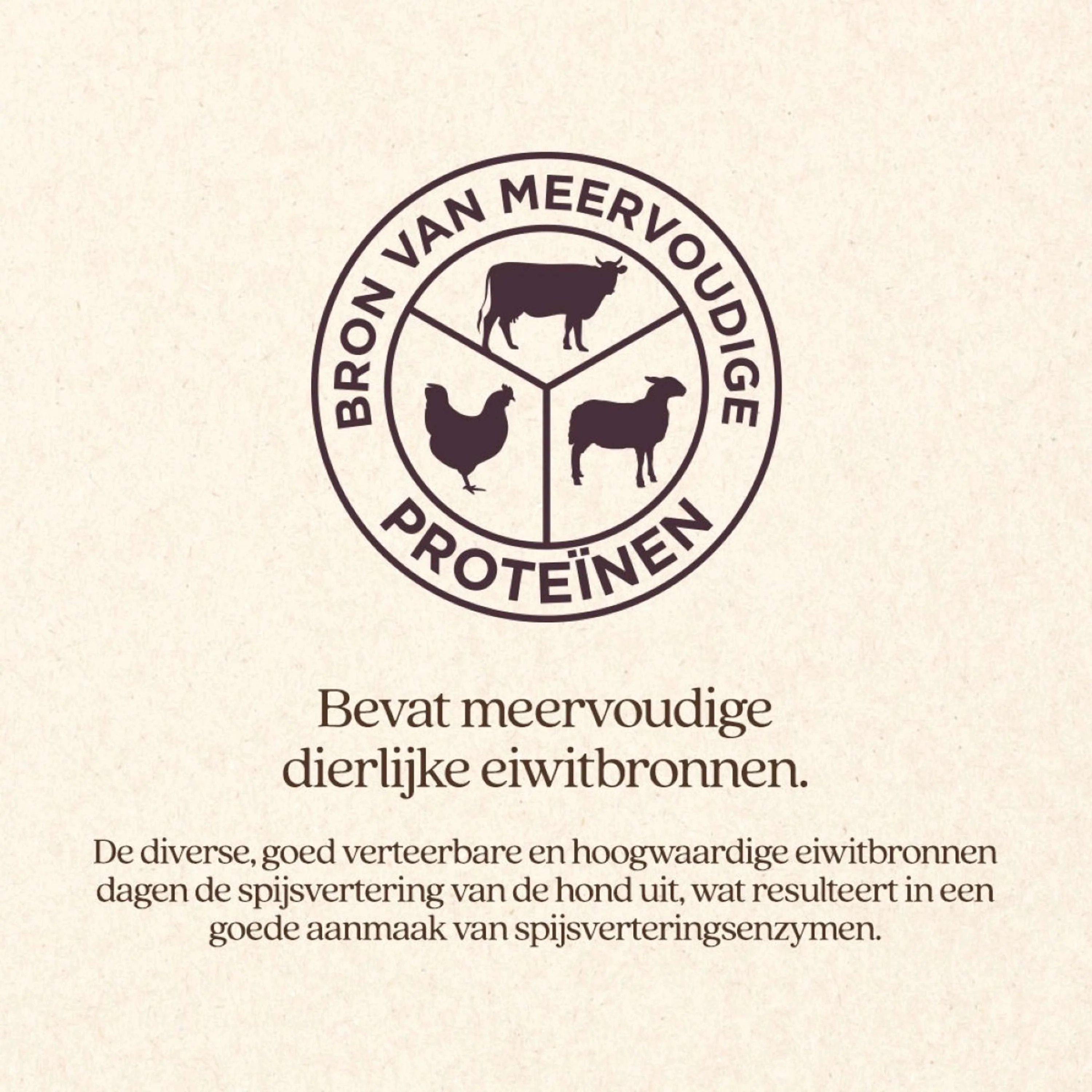 Productafbeelding 2