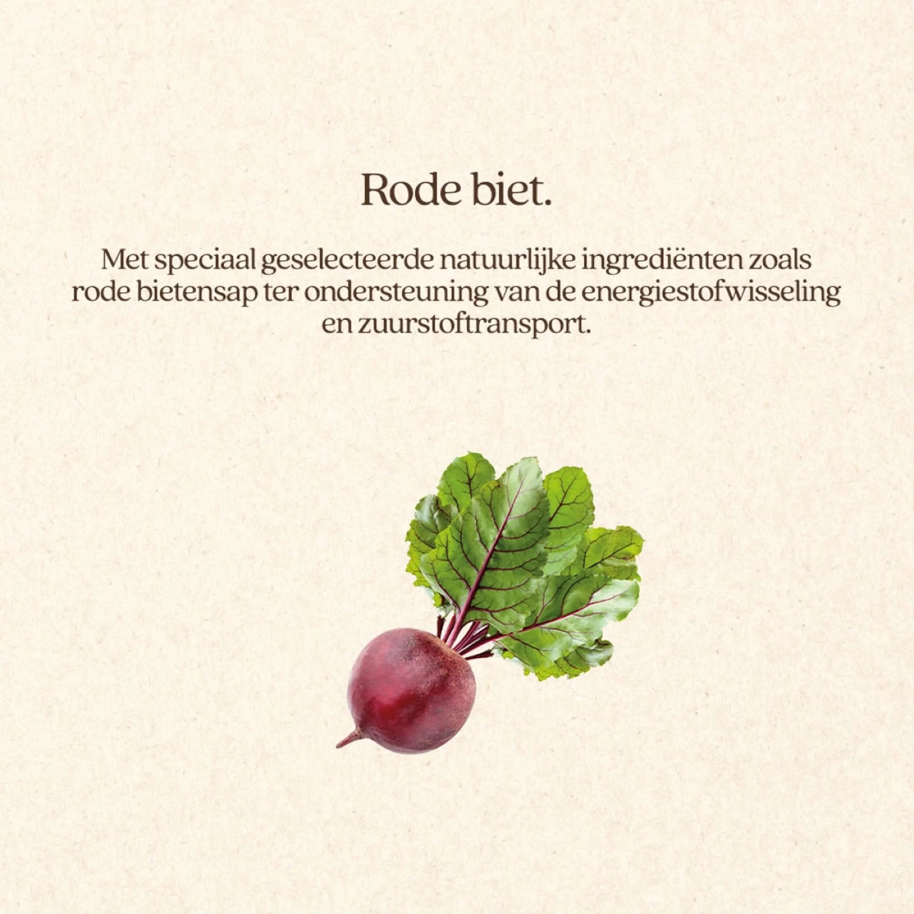 Productafbeelding 3