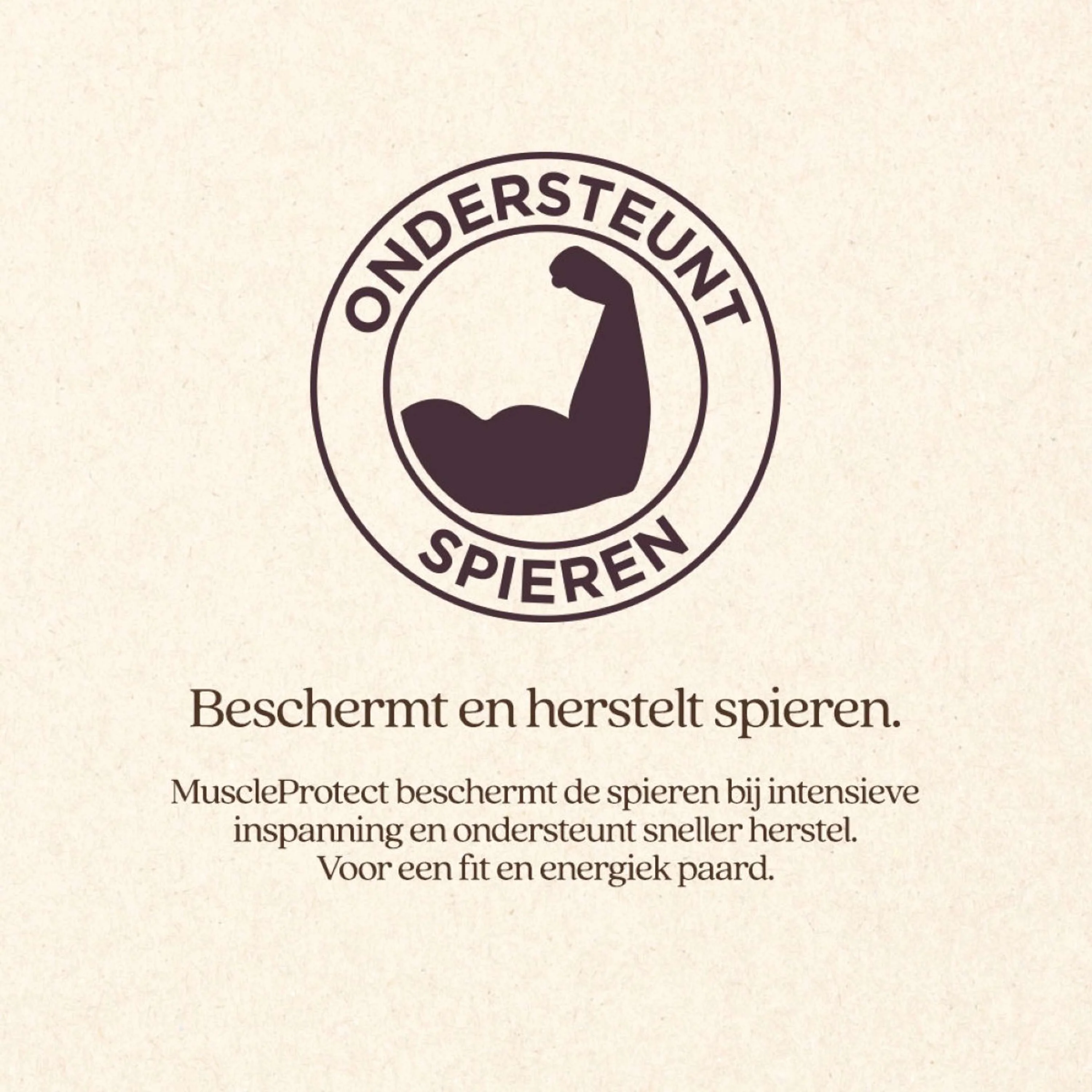 Productafbeelding 4