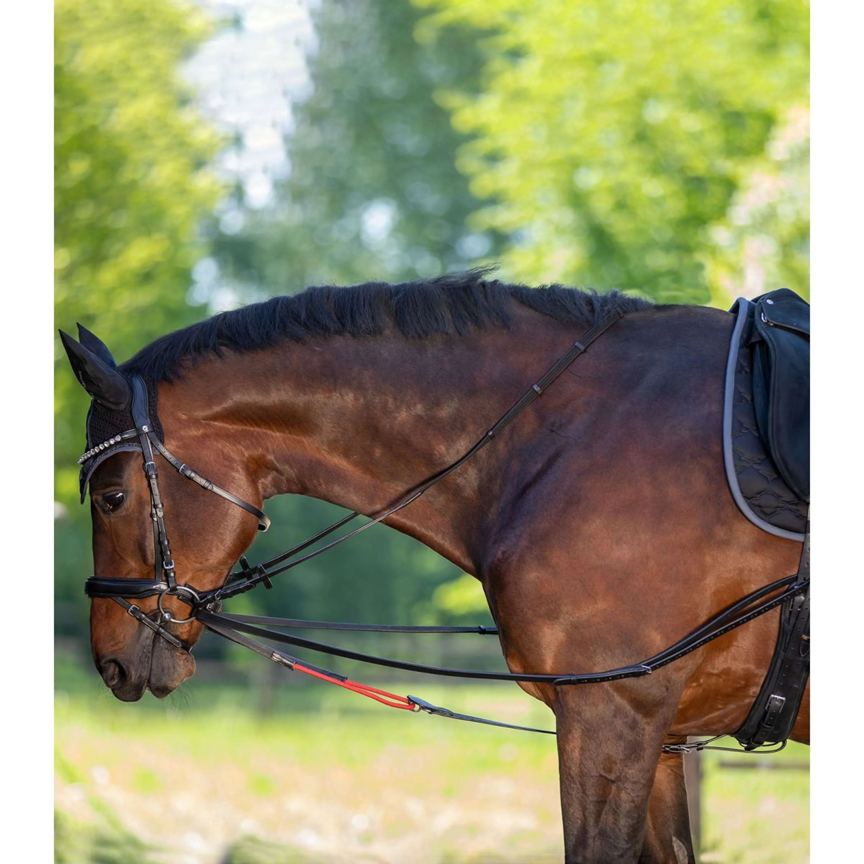 Productafbeelding 1